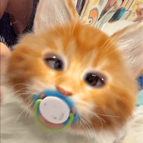 Meet your Posher, Erica - Picture 1 of 1